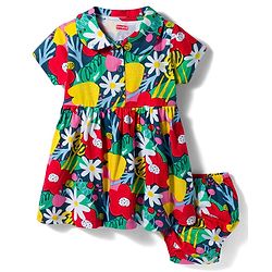 Babyhug Interlock Knit Half Sleeves Floral Printed Peter Pan Collared Frock with Bloomer - Navy Blue
