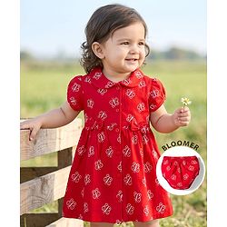 Babyhug Interlock Knit Half Sleeves Peter Pan Collared Butterfly Printed  Frock with Bloomer & Bow Applique - Maroon