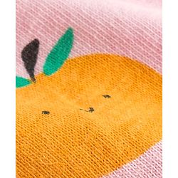Babyhug 100% Cotton Knit Panties With Fruit Print Pack of 3 - Multicolor