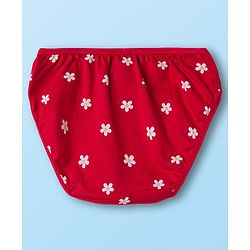 Babyhug 100% Cotton Knit Floral Printed Panties Pack Of 3 - Multicolour