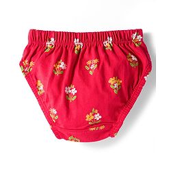Babyhug 100% Cotton Knit Floral Printed Panties Pack Of 3 - Multicolour
