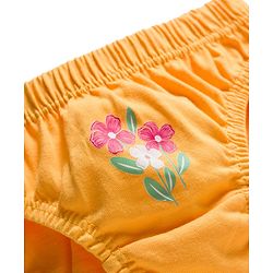Babyhug 100% Cotton Knit Floral Printed Panties Pack Of 3 - Multicolour