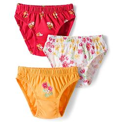 Babyhug 100% Cotton Knit Floral Printed Panties Pack Of 3 - Multicolour