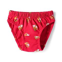 Babyhug 100% Cotton Knit Floral Printed Panties Pack Of 3 - Multicolour