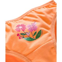 Babyhug 100% Cotton Knit Panties with Floral Print Pack of 3 - Green, Blue & Orange