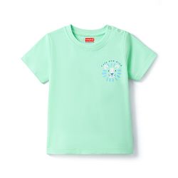 Babyhug Cotton Knit T-Shirts Half Sleeves with Graphics Multi Color 6-9 Months Pack of 3