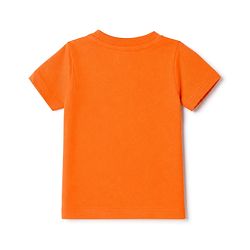 Babyhug 100% Cotton Single Jersey Knit Half Sleeves Shoulder Snap Buttons T-Shirt & Shorts Set With Dino & Bestes Mummasaur Print - Orange & Navy Blue