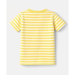 Babyhug 100% Cotton Knit T-Shirts Half Sleeves with Graphics Pack of 3 Multi Color 6-9 Months