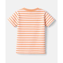 Babyhug 100% Cotton Knit T-Shirts Half Sleeves with Graphics Pack of 3 Multi Color 6-9 Months