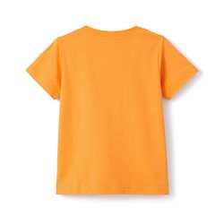 Babyhug Cotton Knit T-Shirt with Graphics Half Sleeves Round Neck Orange Color 6-9 Months