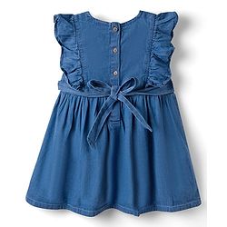Babyhug Denim Woven Antibacterial Sleeveless Floral Embroidered Frock with Frill Detailing - Blue