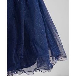 Babyhug Mesh Woven Sleeveless Solid Party Dress With Frill Detailing - Navy Blue