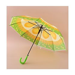 Babyhug Free Size  Umbrella With Fruit Print -Multicolor
