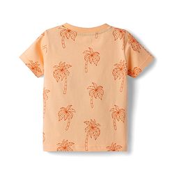 Babyhug Cotton Knit Half Sleeves Striped T-Shirts with Coconut Tree Print Pack of 3 - Multicolor