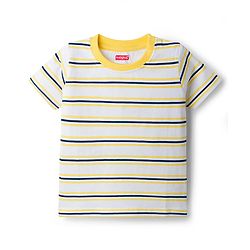 Babyhug Cotton Knit T-Shirts with Graphics Pack of 3 Multi Color 6-9 Months