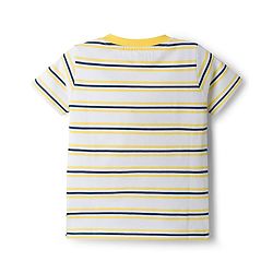 Babyhug Cotton Knit T-Shirts with Graphics Pack of 3 Multi Color 6-9 Months