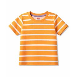 Babyhug 100% Cotton Knit T-Shirts Half Sleeves with Graphics Multi Color 6-9 Months Pack of 5