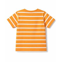 Babyhug 100% Cotton Knit T-Shirts Half Sleeves with Graphics Multi Color 6-9 Months Pack of 5