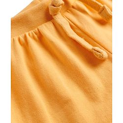 Babyhug Single Jersey Knit Mid Thigh Shorts with Dino Print Pack of 3 - Multicolor