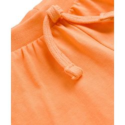 Babyhug 100% Cotton Single Jersey Knit Mid Thigh Shorts With Animal & Text Print Pack of 3 - Multicolor