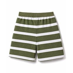 Babyhug Cotton Knit Mid Thigh Striped & Animal Printed Shorts Pack Of 3 - Multicolor