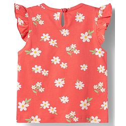 Babyhug Cotton Knit T-Shirts Half Sleeves with Graphic Print Pack of 3 Multi Color 9-12 Months