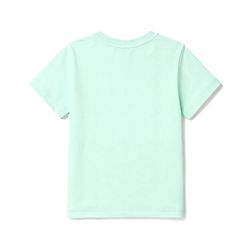 Babyhug 100% Cotton Knit Half Sleeves T-Shirt with Dino Graphics - Sea Green