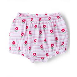 Babyhug 100% Cotton Knit Antibacterial Printed Bloomers Pack of 5 - Multicolor