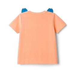 Babyhug Cotton Knit T-Shirts Half Sleeves Structured with Graphics & Applique Detailing Orange 12-18 Months