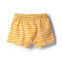 Babyhug 100% Cotton Knit Antibacterial Striped & Tiger Printed Trunks Pack of 3 - Multicolor
