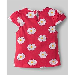 Babyhug Cotton Knit T-Shirts Half Sleeves with Graphics Multi Color 9-12 Months Pack of 3