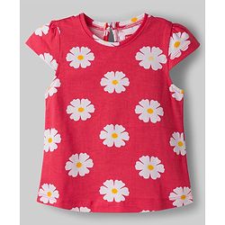 Babyhug Cotton Knit T-Shirts Half Sleeves with Graphics Multi Color 9-12 Months Pack of 3