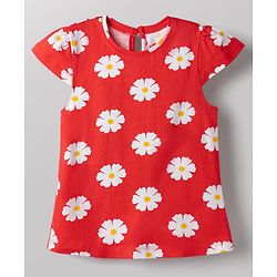 Babyhug Cotton Knit T-Shirts Half Sleeves with Graphics Multi Color 9-12 Months Pack of 3