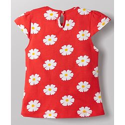 Babyhug Cotton Knit T-Shirts Half Sleeves with Graphics Multi Color 9-12 Months Pack of 3