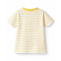 Babyhug Cotton Knit T-Shirts Half Sleeves Striped with Car Carrot & Tree Print Pack of 3 - Multicolor