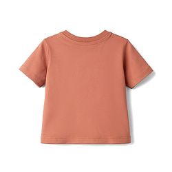 Babyhug Cotton Knit T-Shirt with Graphics Half Sleeves Round Neck Multi Color 6-9 Months