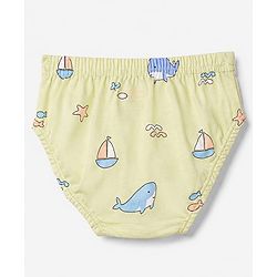 Babyhug 100% Cotton Knit Striped & Sea Life & Nautical Theme Printed Briefs Pack Of 3 - Briefs