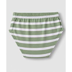 Babyhug 100% Cotton Single Jersey Knit Striped Briefs With Dino Printed Pack of 3 - Olive & Cream & Yellow