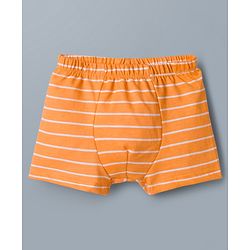 Babyhug 100% Cotton Knit Striped & Tractor Printed Trunks Pack of 3 - Multicolor