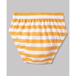 Babyhug 100% Cotton Single Jersey Knit Striped Briefs With Animal Print Pack of 3 - Multicolor