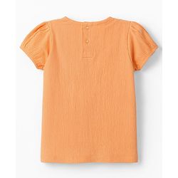 Babyhug Crinkled Crepe Half Sleeves Top With Schiffli Detailing - Orange