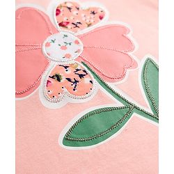 Babyhug 100% Cotton Single Jersey Knit Frill Sleeves Top & Shorts Set With Floral Print - Pink & Green