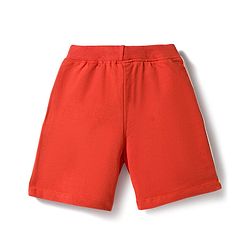 Babyhug Single Jersey Knit Half Sleeves T-Shirt & Shorts Set with Animal Print - Rust Orange
