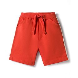 Babyhug Single Jersey Knit Half Sleeves T-Shirt & Shorts Set with Animal Print - Rust Orange