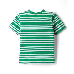 Babyhug Cotton Knit Half Sleeves Striped T-Shirt with Have Lion Print - Multicolor