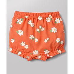 Babyhug 100% Cotton Single Jersey Knit Bloomers With Floral Print Pack of 3 - Multicolor