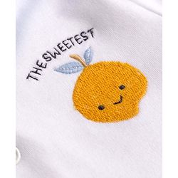 Babyhug 100% Cotton Knit Half Sleeves Tropical Theme Embroidered & Checked Romper - Light Blue