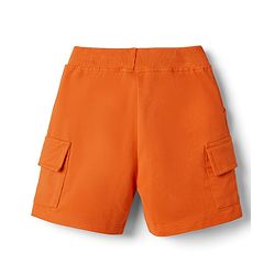 Babyhug Single Jersey Knit Half Sleeves T-Shirt & Shorts Set with Animal Print - Blue & Orange