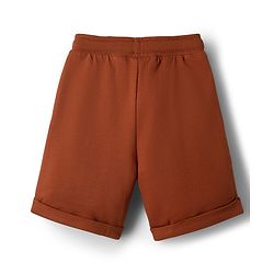 Babyhug Terry Knit Mid Thigh Shorts with Paw Embroidery - Rust Orange