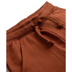 Babyhug Terry Knit Mid Thigh Shorts with Paw Embroidery - Rust Orange